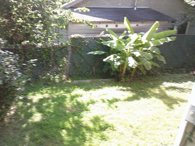 1005 Rector, Hot Springs, AR 71913
