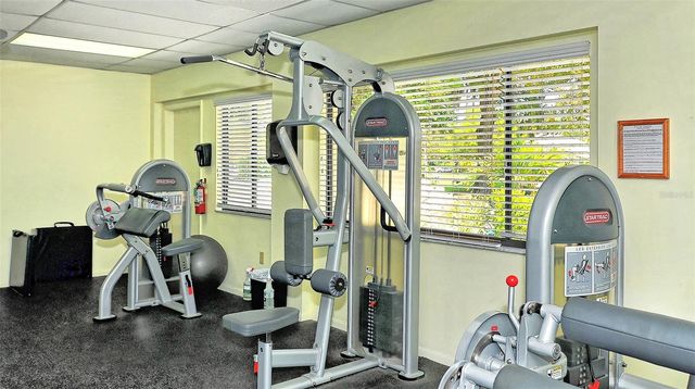 740 WHITE PINE TREE ROAD 205, Venice, FL 34285