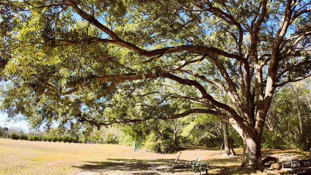 18367 Driskell Road, Loxley, AL 36551