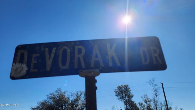 6073 Devorak Drive, Marianna, FL 32446