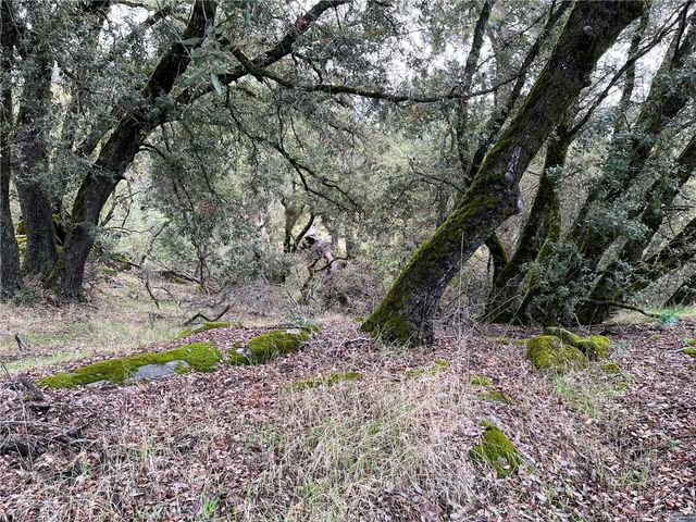 0 Jean Road E, Oakhurst, CA 93644