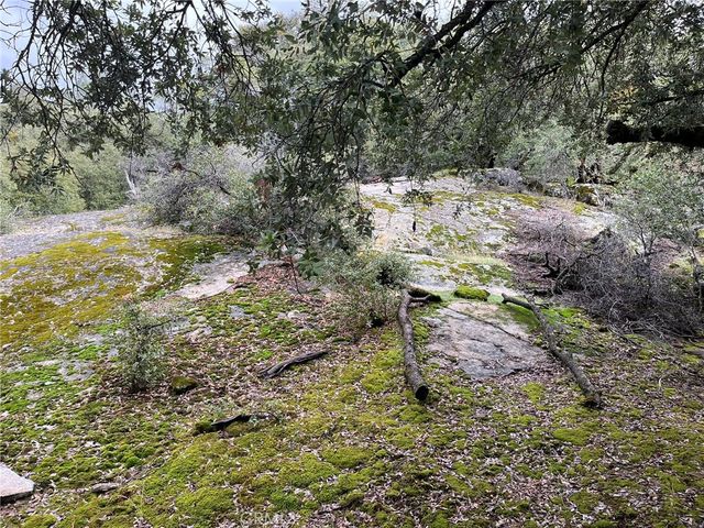 0 Jean Road E, Oakhurst, CA 93644