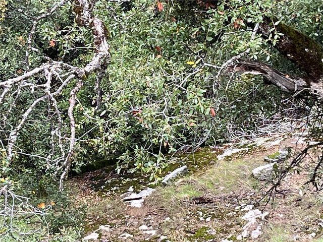 0 Jean Road E, Oakhurst, CA 93644