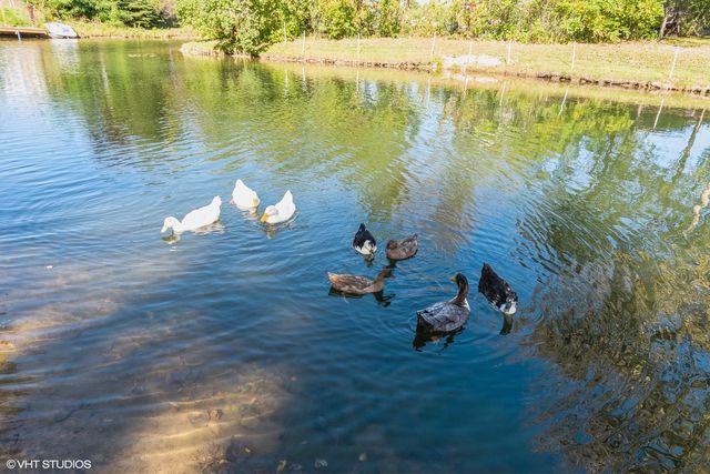 119 Largemouth Lane, Wilmington, IL 60481