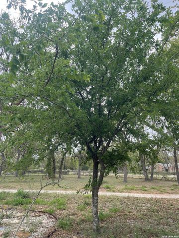 135 Pullman, La Vernia, TX 78121