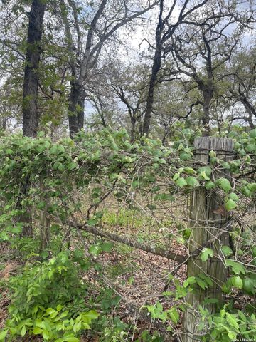 135 Pullman, La Vernia, TX 78121
