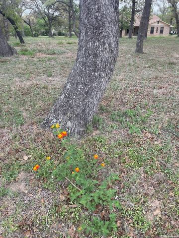 135 Pullman, La Vernia, TX 78121