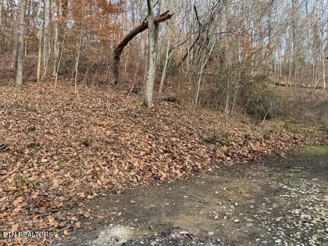 545 E Brushy Valley Drive, Powell, TN 37849