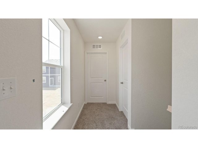 833 Trumpet Ln, Windsor, CO 80550