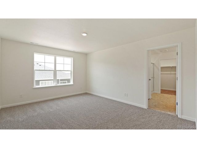 833 Trumpet Ln, Windsor, CO 80550