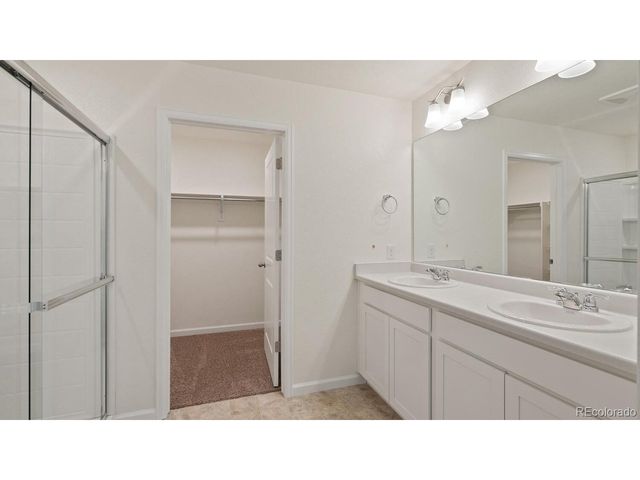 833 Trumpet Ln, Windsor, CO 80550