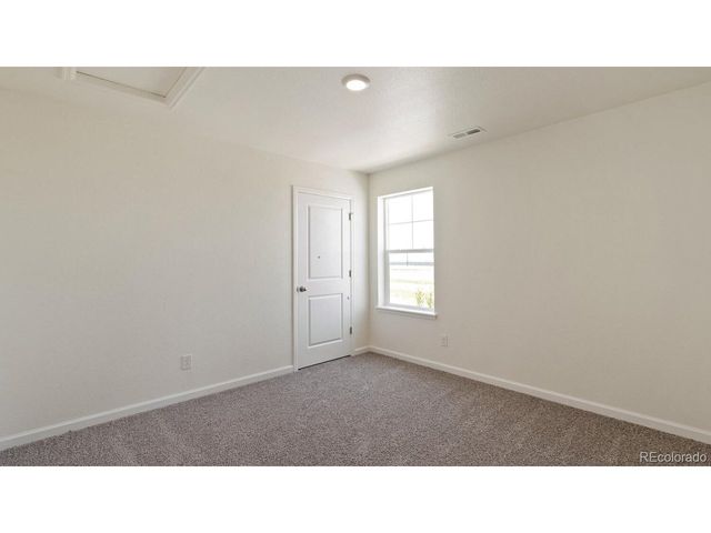 833 Trumpet Ln, Windsor, CO 80550