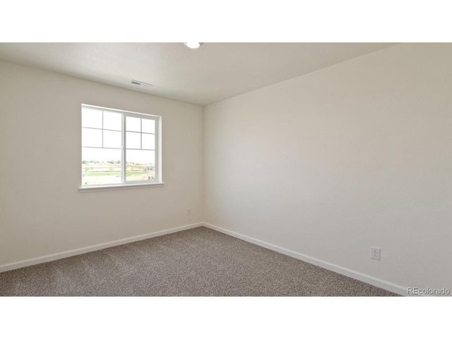 833 Trumpet Ln, Windsor, CO 80550