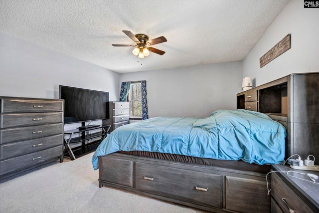 10 Dove Field Court, Hopkins, SC 29061