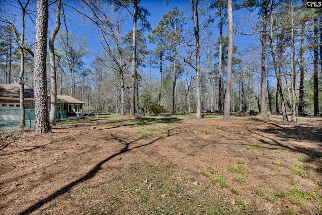 10 Dove Field Court, Hopkins, SC 29061