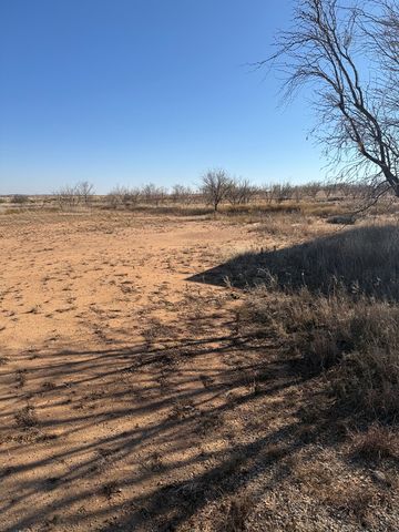 3081 County Rd 129, Colorado City, TX 79512