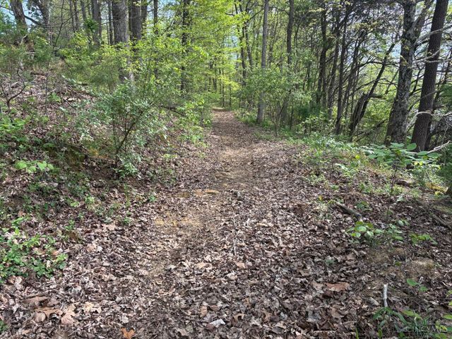 1000 Locust Road, Jackson Twp, OH 45133