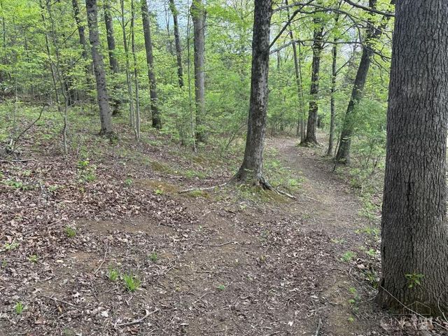 1000 Locust Road, Jackson Twp, OH 45133
