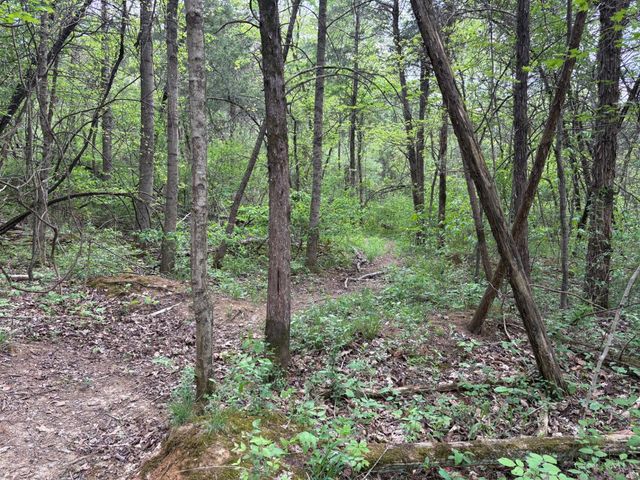 1000 Locust Road, Jackson Twp, OH 45133