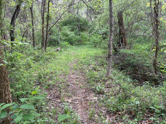 1000 Locust Road, Jackson Twp, OH 45133
