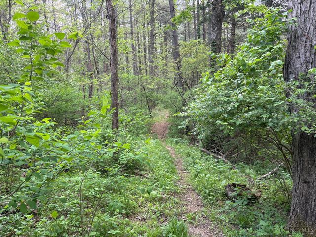 1000 Locust Road, Jackson Twp, OH 45133