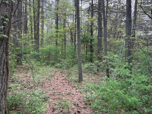 1000 Locust Road, Jackson Twp, OH 45133