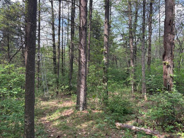 1000 Locust Road, Jackson Twp, OH 45133