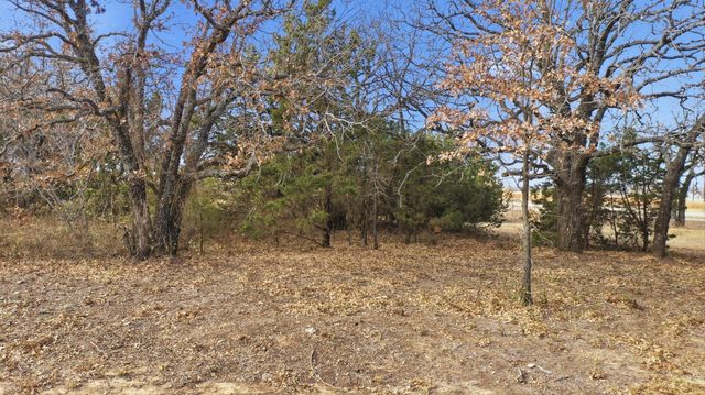 TBD Dps Tower, Perrin, TX 76486