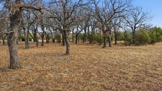 TBD Dps Tower, Perrin, TX 76486