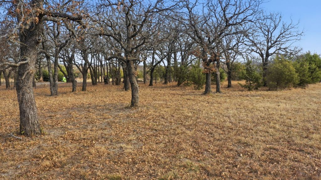TBD Dps Tower, Perrin, TX 76486