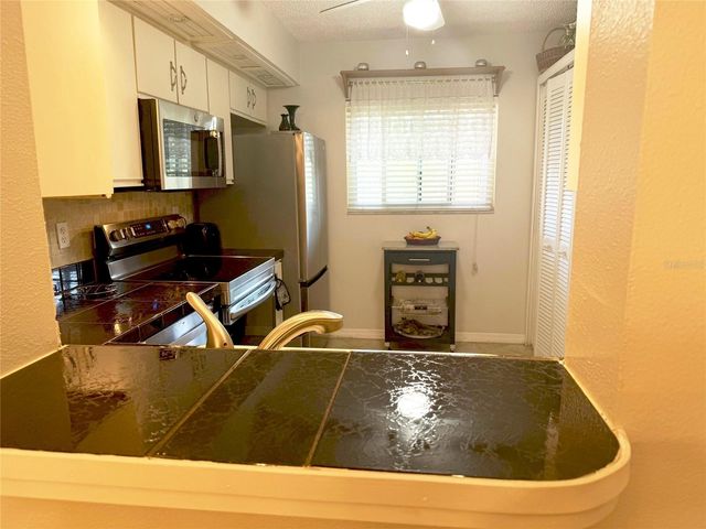 1247 S MARTIN LUTHER KING JR AVENUE 307, Clearwater, FL 33756