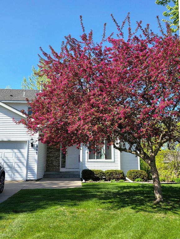 847 Vista Circle, Delano, MN 55328 — photo 3