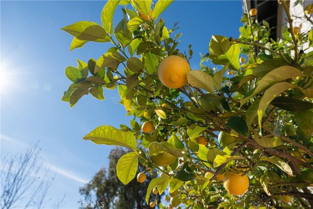 22248 Dumetz Road, Woodland Hills, CA 91364