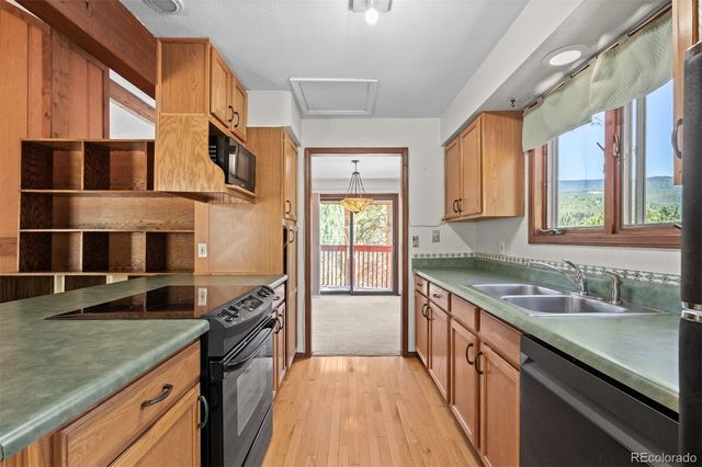 33057 Little Cub Road, Evergreen, CO 80439