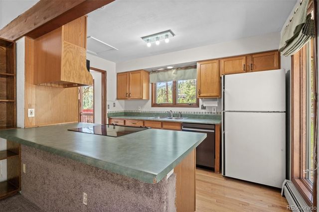 33057 Little Cub Road, Evergreen, CO 80439
