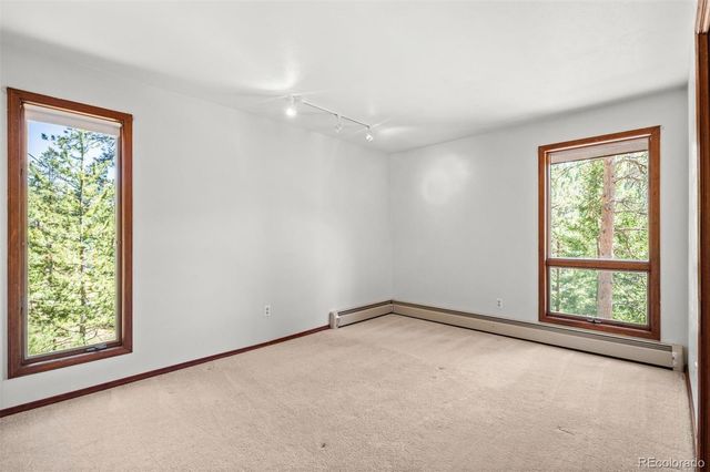 33057 Little Cub Road, Evergreen, CO 80439