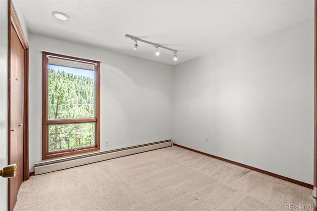 33057 Little Cub Road, Evergreen, CO 80439