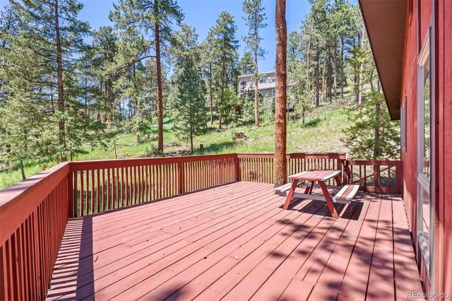 33057 Little Cub Road, Evergreen, CO 80439