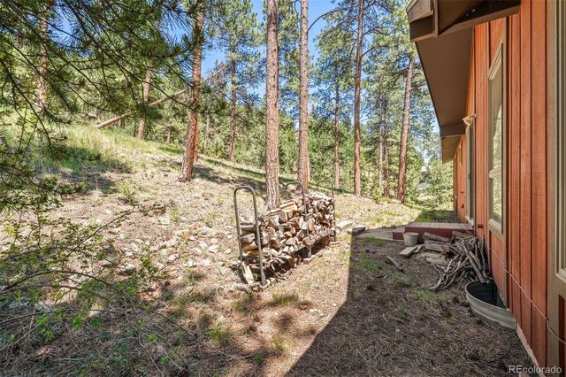 33057 Little Cub Road, Evergreen, CO 80439
