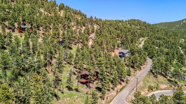 33057 Little Cub Road, Evergreen, CO 80439