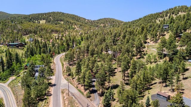33057 Little Cub Road, Evergreen, CO 80439