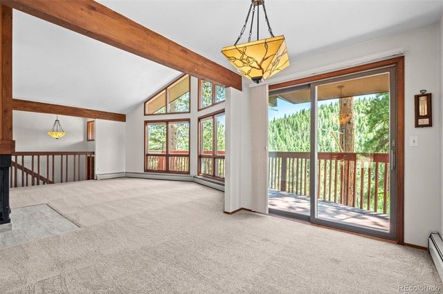33057 Little Cub Road, Evergreen, CO 80439