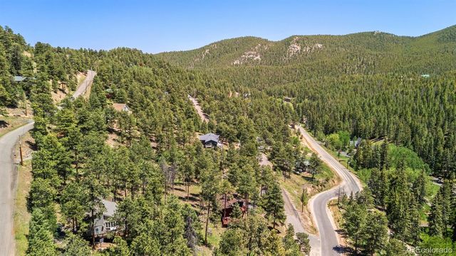 33057 Little Cub Road, Evergreen, CO 80439