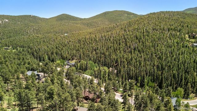 33057 Little Cub Road, Evergreen, CO 80439