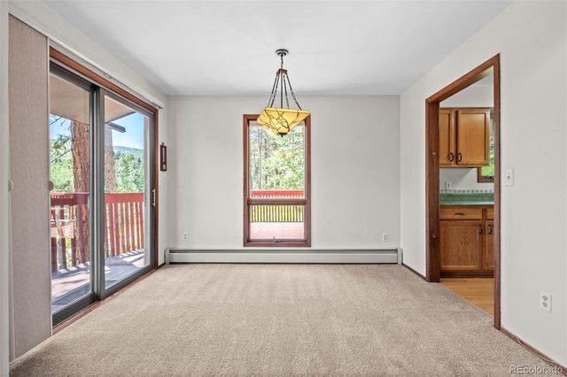 33057 Little Cub Road, Evergreen, CO 80439