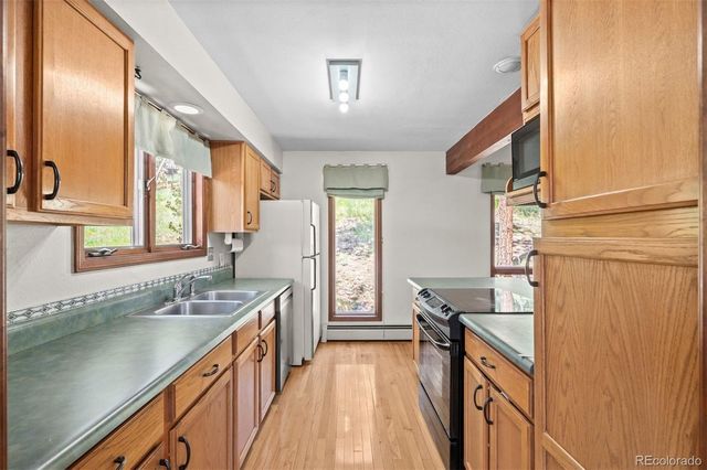 33057 Little Cub Road, Evergreen, CO 80439