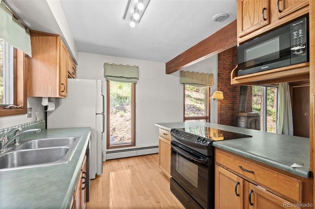 33057 Little Cub Road, Evergreen, CO 80439