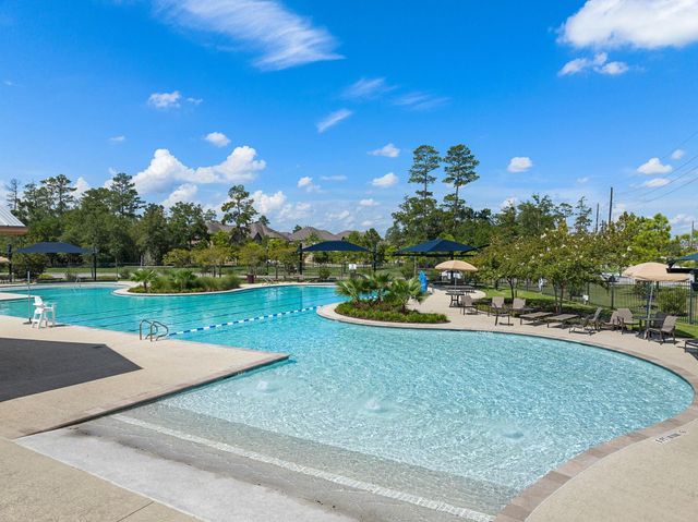 28511 Rose Vervain Drive, Spring, TX 77386