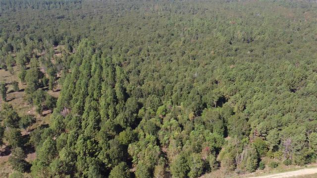 TBD Fm 2457, Livingston, TX 77351