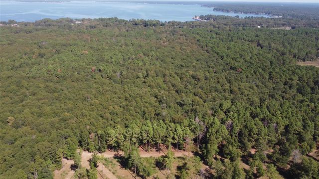 TBD Fm 2457, Livingston, TX 77351